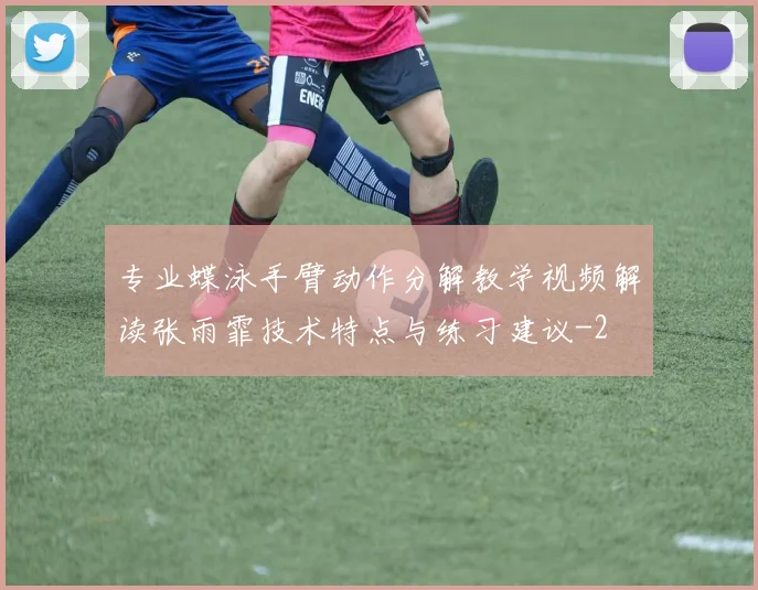 专业蝶泳手臂动作分解教学视频解读张雨霏技术特点与练习建议