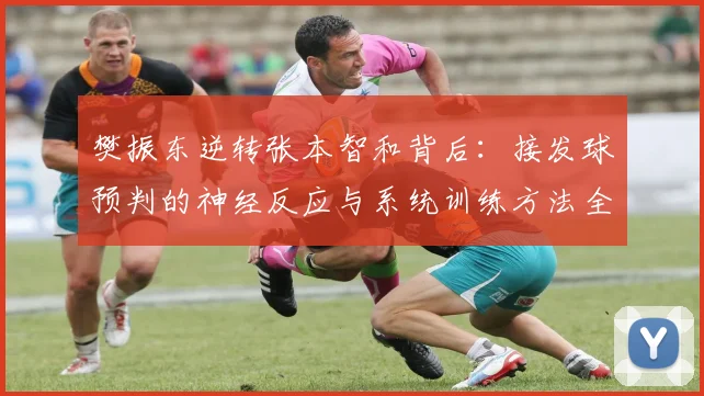 樊振东逆转张本智和背后：接发球预判的神经反应与系统训练方法全解